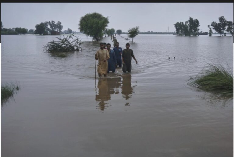 Screenshot_20250831_060350_Chrome