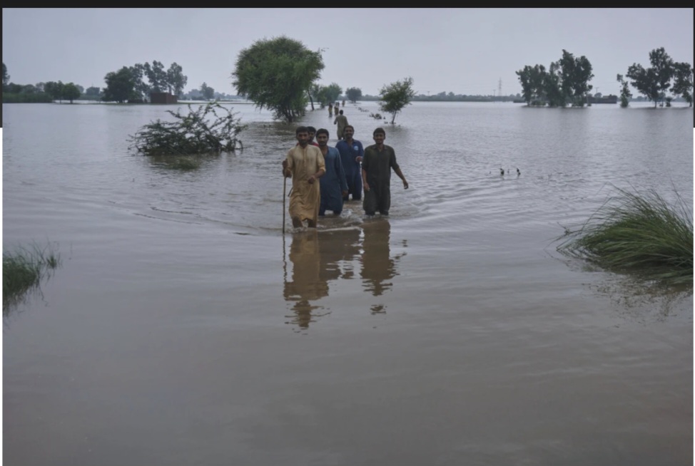 Screenshot_20250831_060350_Chrome