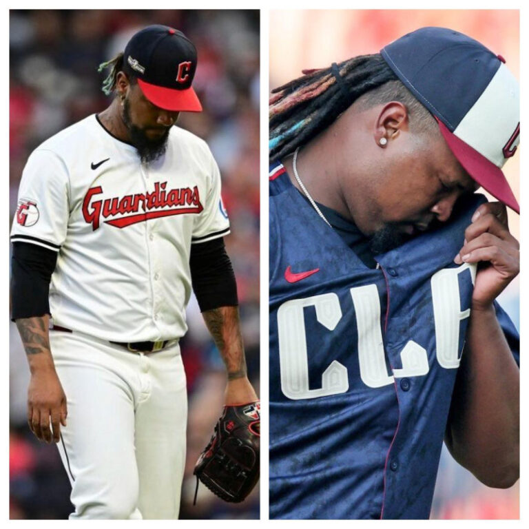 691145698f4b8.r_d.247-202