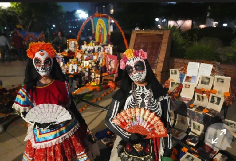 Screenshot_20251101_093140_Chrome