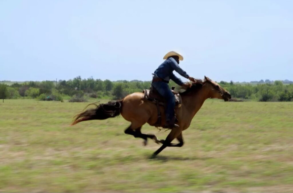 Screenshot_20251122_204815_Chrome