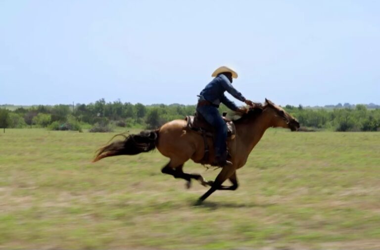 Screenshot_20251122_204815_Chrome