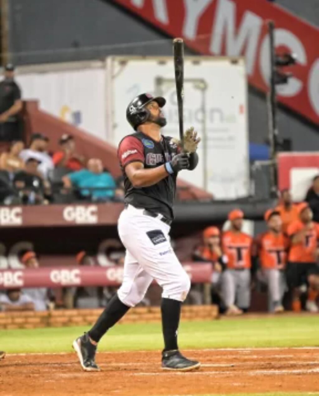 Screenshot_20251123_222019_Chrome