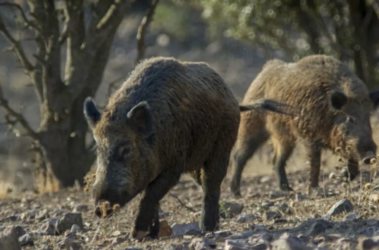 Screenshot_20251203_105345_Chrome