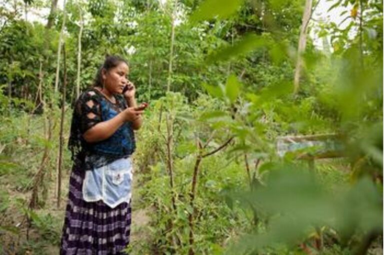 Screenshot_20251209_090814_Samsung Internet