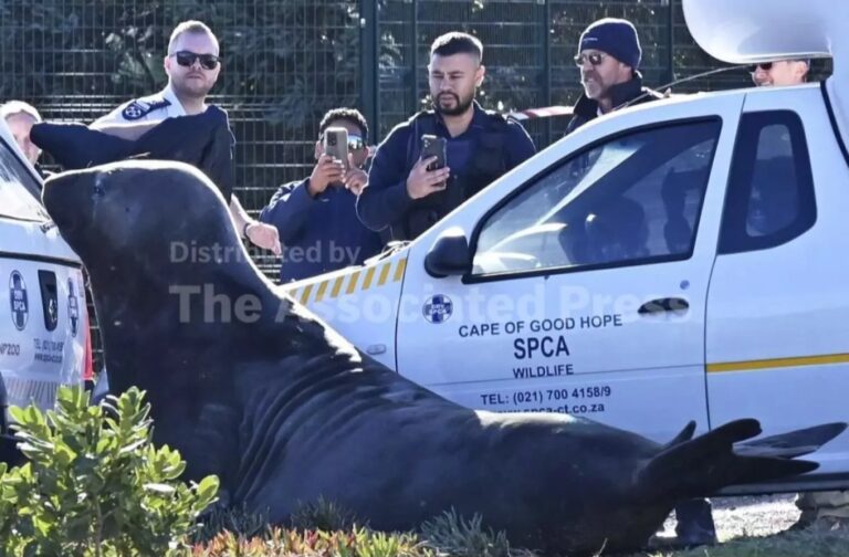 Screenshot_20260102_104048_Chrome