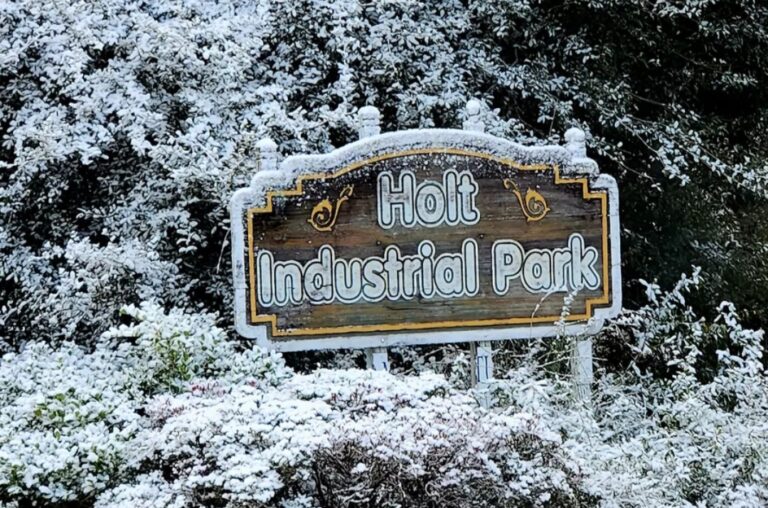 Screenshot_20260121_133153_Chrome