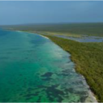 IMG_20260205_200537_108