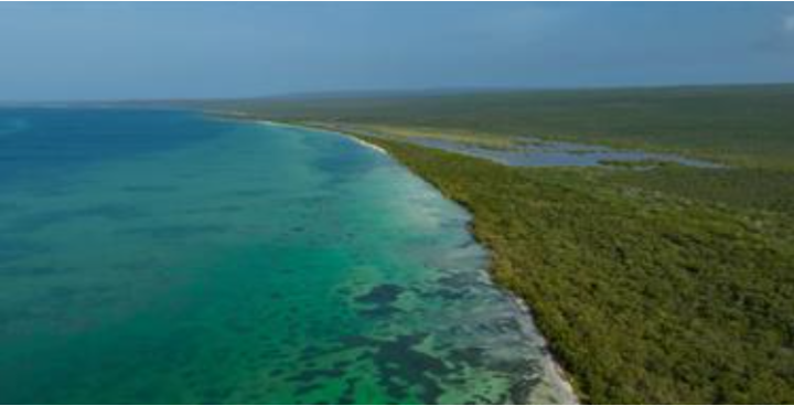 IMG_20260205_200537_108