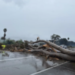 IMG_20260216_201938_217