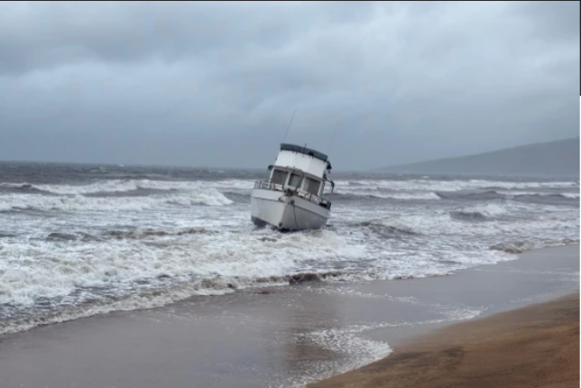 IMG_20260314_210849_058