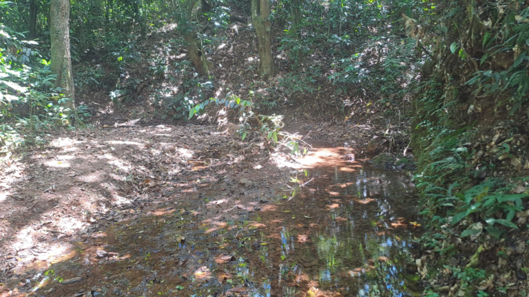 "Sed de Justicia en El Aguacate: La comunidad que defiende su agua frente a la sombra de un vertedero"