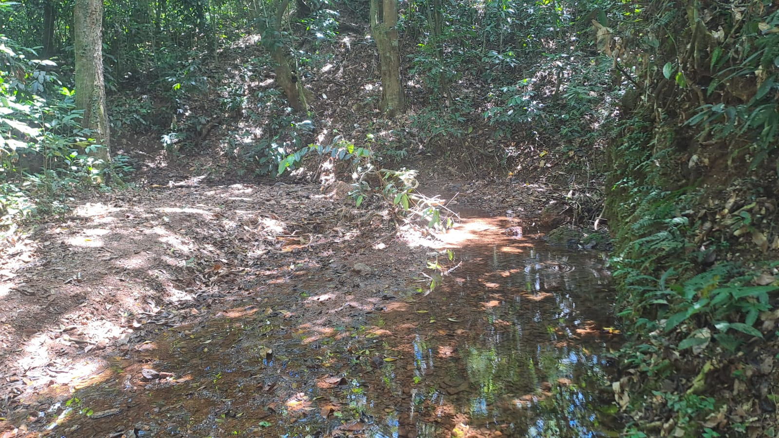 "Sed de Justicia en El Aguacate: La comunidad que defiende su agua frente a la sombra de un vertedero"