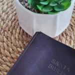 Reflexión David y Goliat 1 Samuel 17, María Fernanda de la Cruz NoticiasEnlineaRD, cómo vencer los gigantes de la vida, armadura de Saúl significado espiritual.