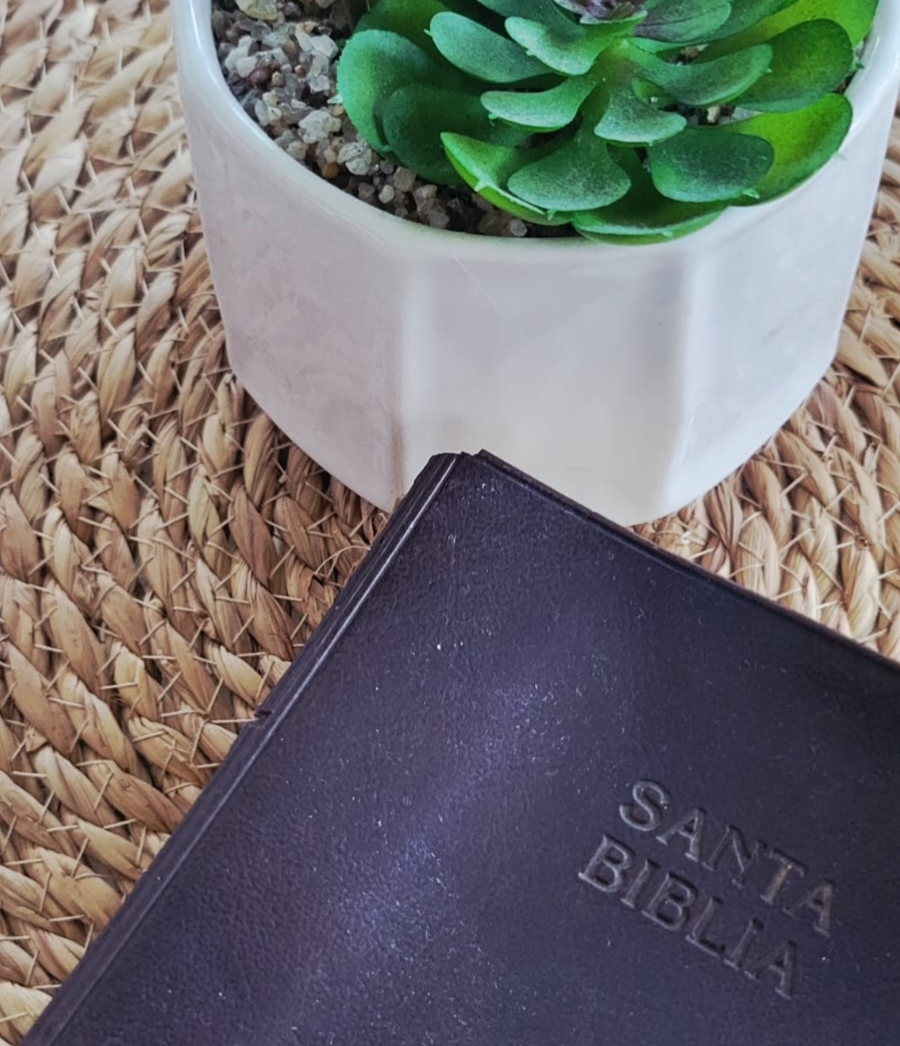 Reflexión David y Goliat 1 Samuel 17, María Fernanda de la Cruz NoticiasEnlineaRD, cómo vencer los gigantes de la vida, armadura de Saúl significado espiritual.