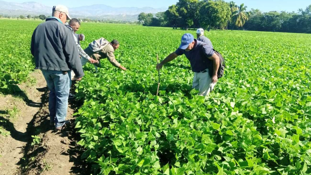 "Vista panorámica del productivo Valle de San Juan de la Maguana al atardecer, representando la victoria de la agricultura y la preservación del agua frente a la minería."