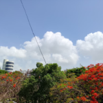 Alerta meteorológica: Polvo del Sahara cubrirá República Dominicana con calor extremo y cielo grisáceo