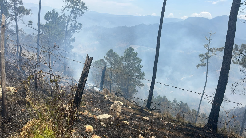 medio ambiente ocoa incendios, causantes de incendios forestales rd, la cieniguita ocoa fuego, sabana de san juan azua, vicios agricultura campo abierto rd