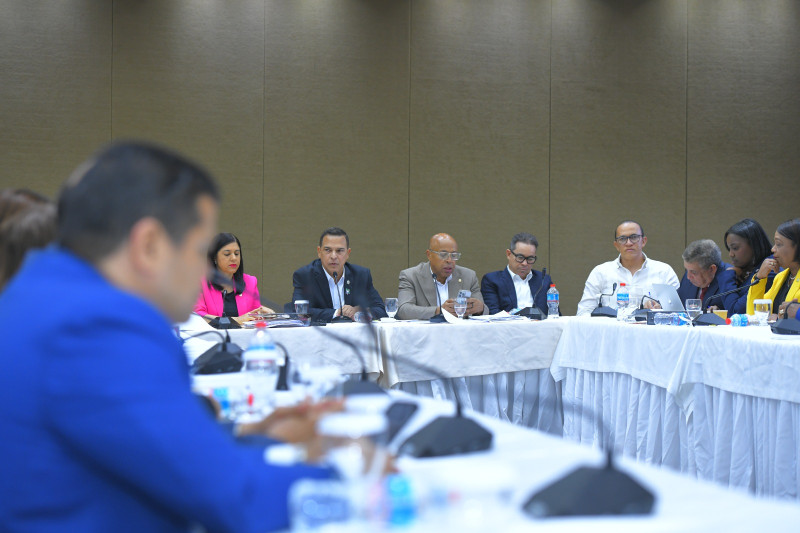 Se frena la sesión: Subcomisión estudia contrarreloj las propuestas del nuevo Código Penal.