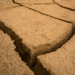 El "descarrilamiento" de la Tierra: Descubren cómo desaparece una zona de subducción frente a Canadá.