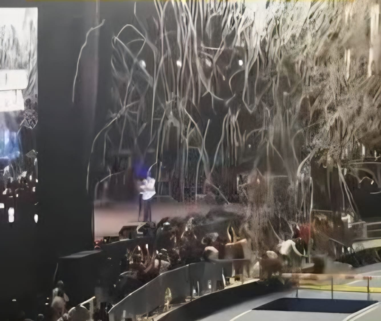 Cañón de confeti lesiona a fotógrafos en concierto de Ramón Orlando