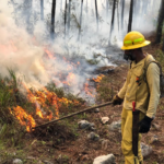 Columnas de humo por incendio forestal en el Parque Nacional Sierra de Bahoruco, próximo al Hoyo de Pelempito.