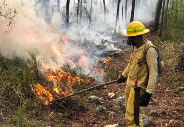 Columnas de humo por incendio forestal en el Parque Nacional Sierra de Bahoruco, próximo al Hoyo de Pelempito.