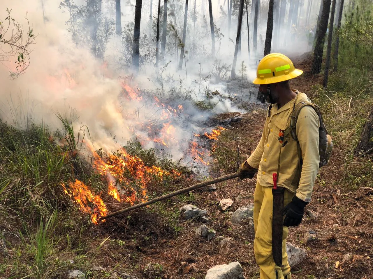 Columnas de humo por incendio forestal en el Parque Nacional Sierra de Bahoruco, próximo al Hoyo de Pelempito.