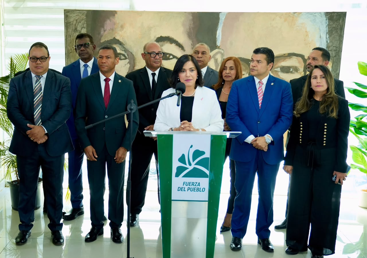 fuerza del pueblo seguridad ciudadana prm