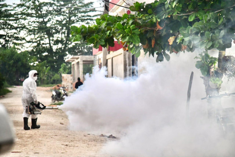 Alerta epidemiológica: Salud Pública confirma 15 nuevos casos de dengue y activa operativos masivos